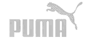 Puma logo